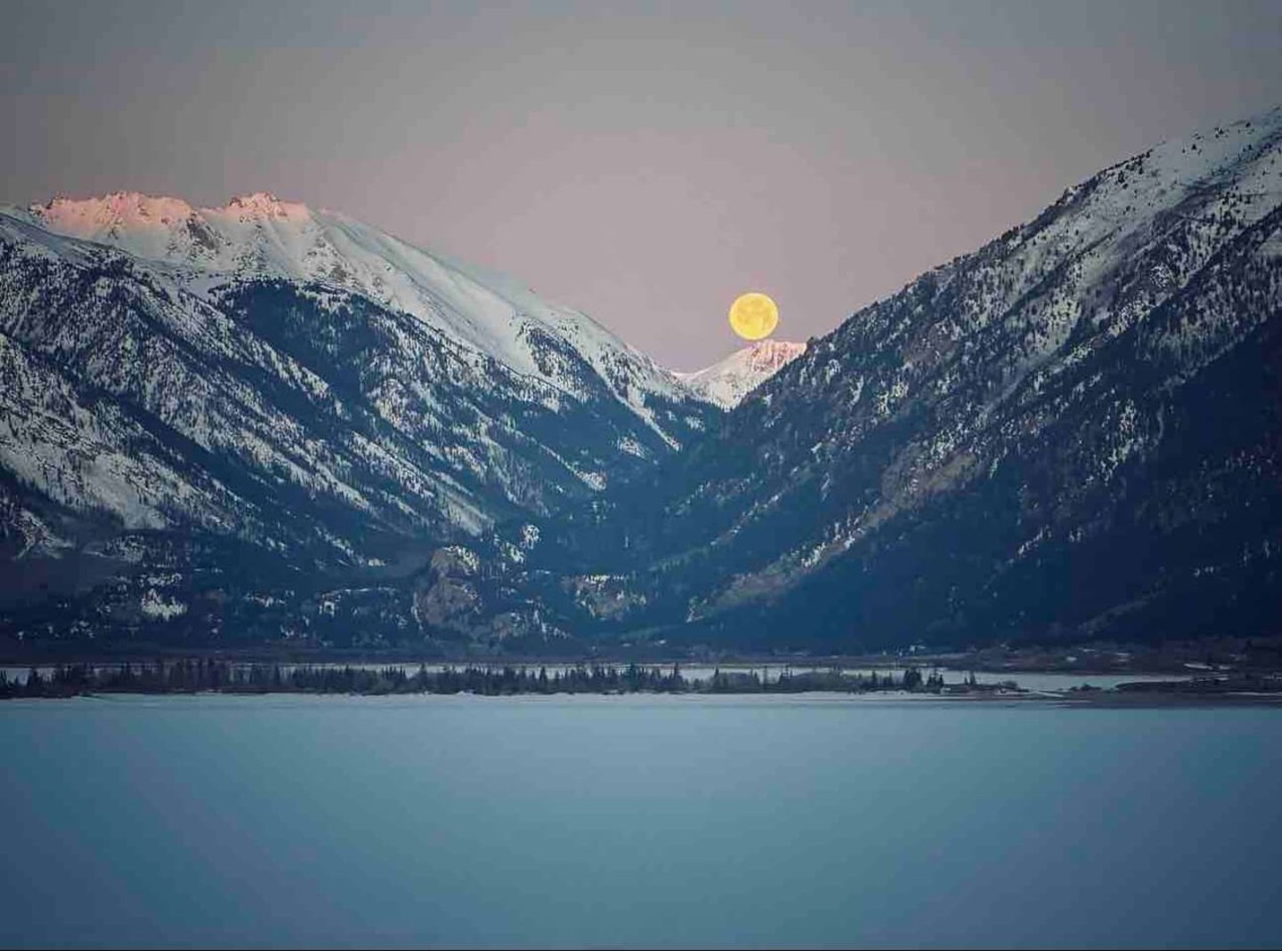 The Grizzly Maze - 16