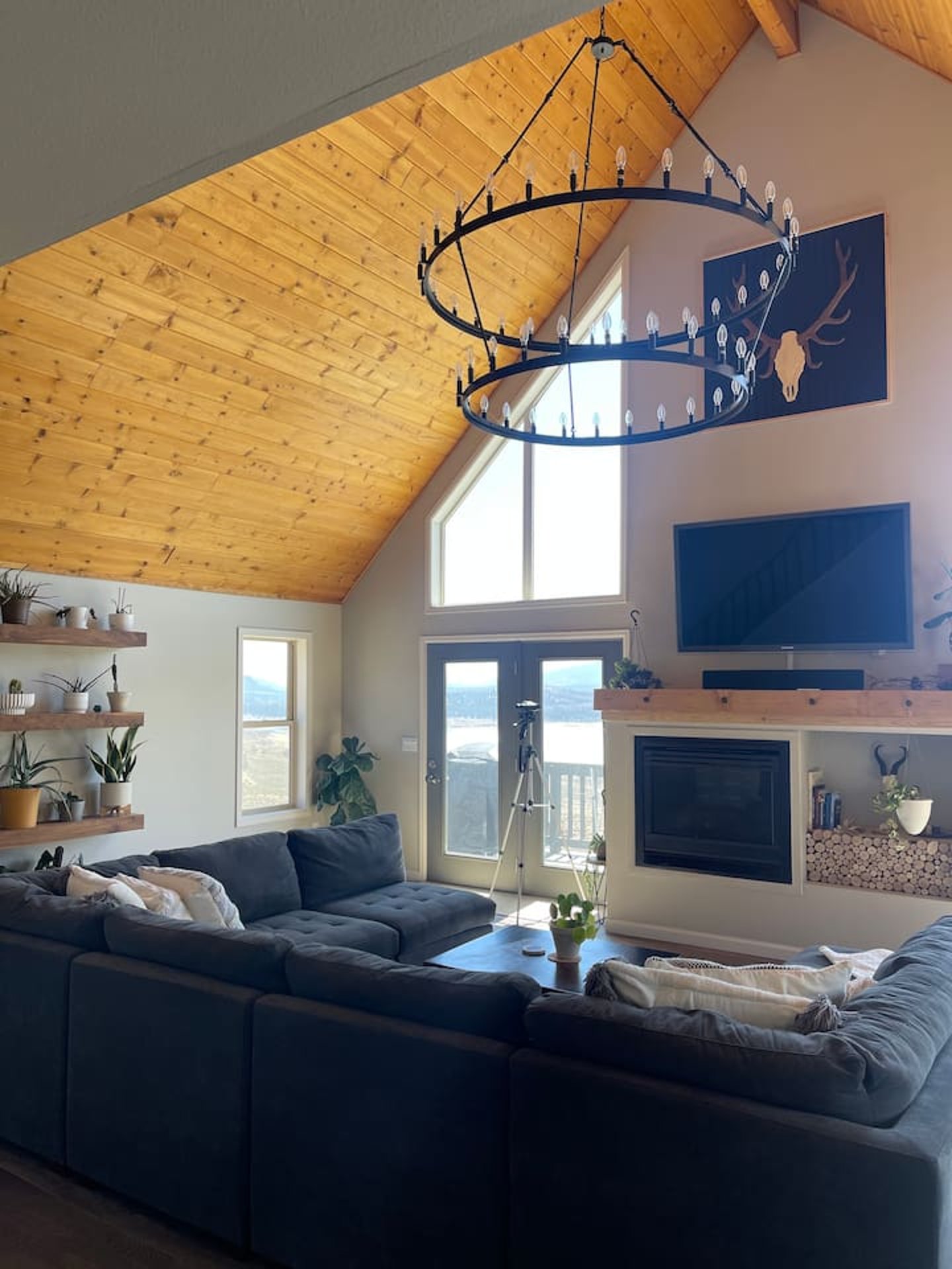 The Grizzly Maze - 5