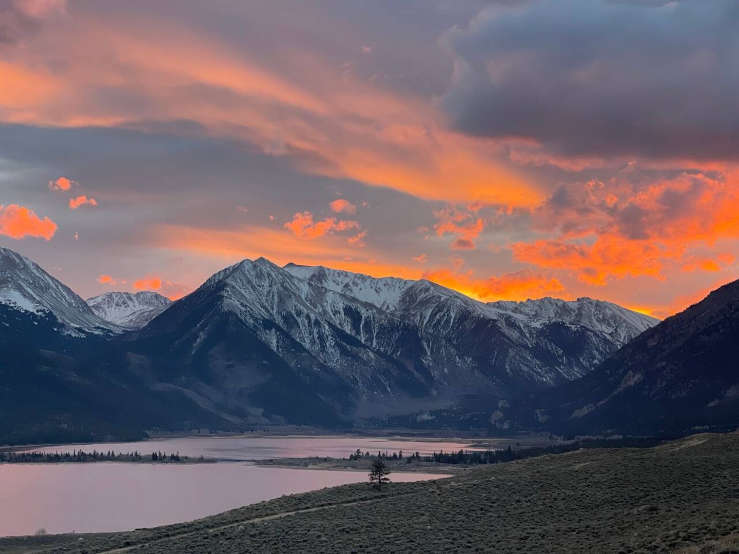 The Grizzly Maze - 6