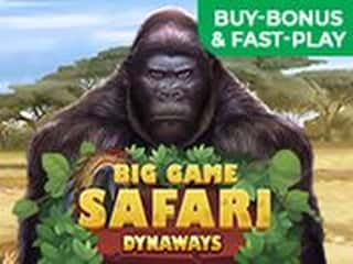 Big Game Safari