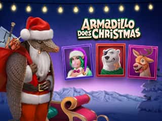 Armadillo Does Christmas
