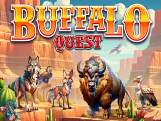 Buffalo Quest