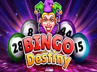 Bingo Destiny