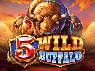 5 Wild Buffalo