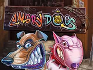 Angry Dogs