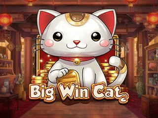 Big Win Cat