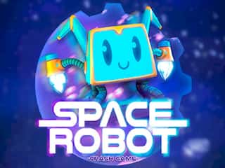 Space Robot