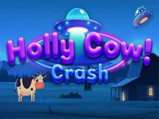 Holly Cow Crash