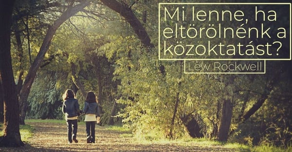 Mi lenne, ha eltörölnék a közoktatást?