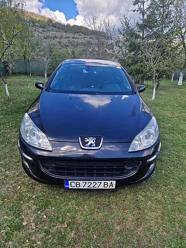2005 Peugeot 407