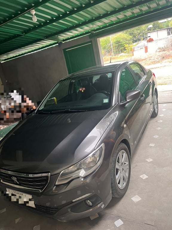 2020 Peugeot 301