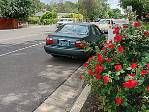 1996 Honda Accord