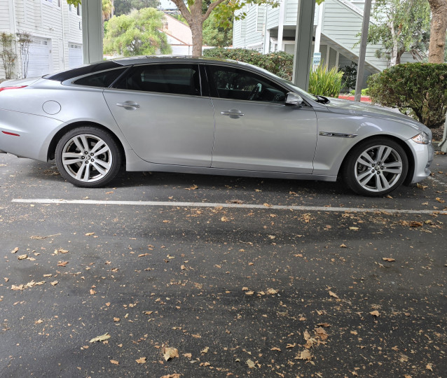 Jaguar 95060