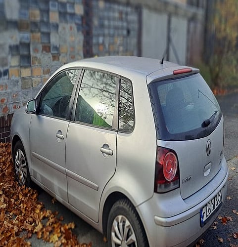 2007 Volkswagen Polo
