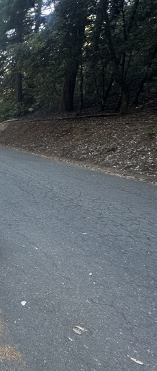 Toyota Acalanes Ridge