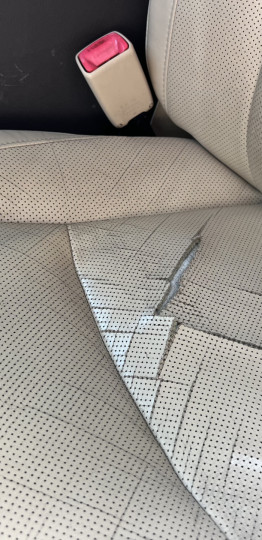 2010 LEXUS ES