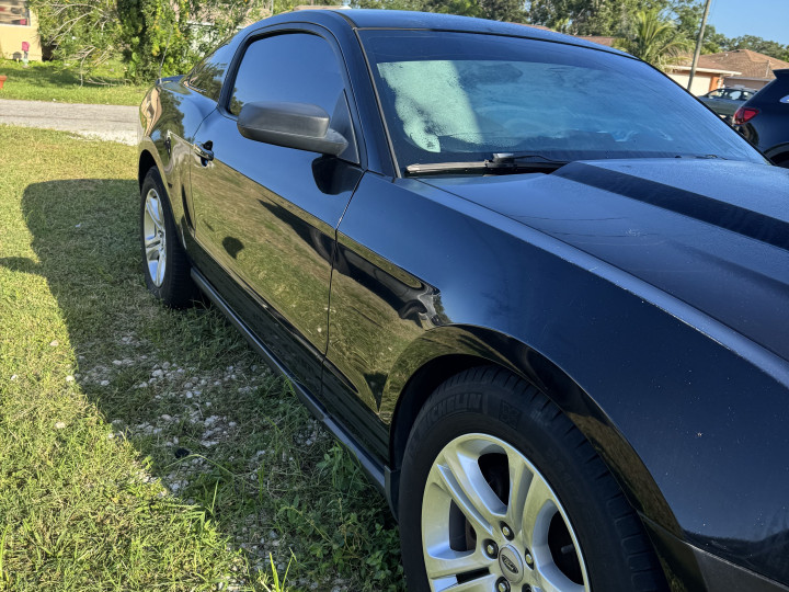 Ford Bradenton