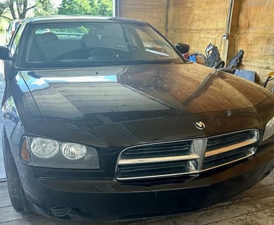 2010 Dodge