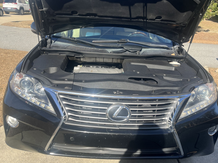 Lexus Willow Spring