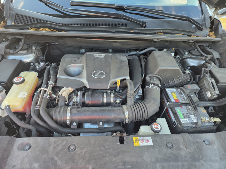 Lexus NX 34787