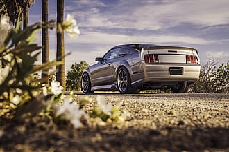 2008 FORD Mustang