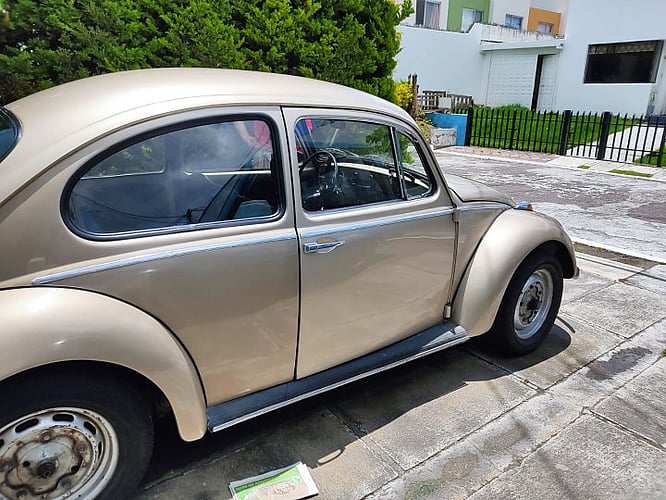 1965 volkswagen Clasico