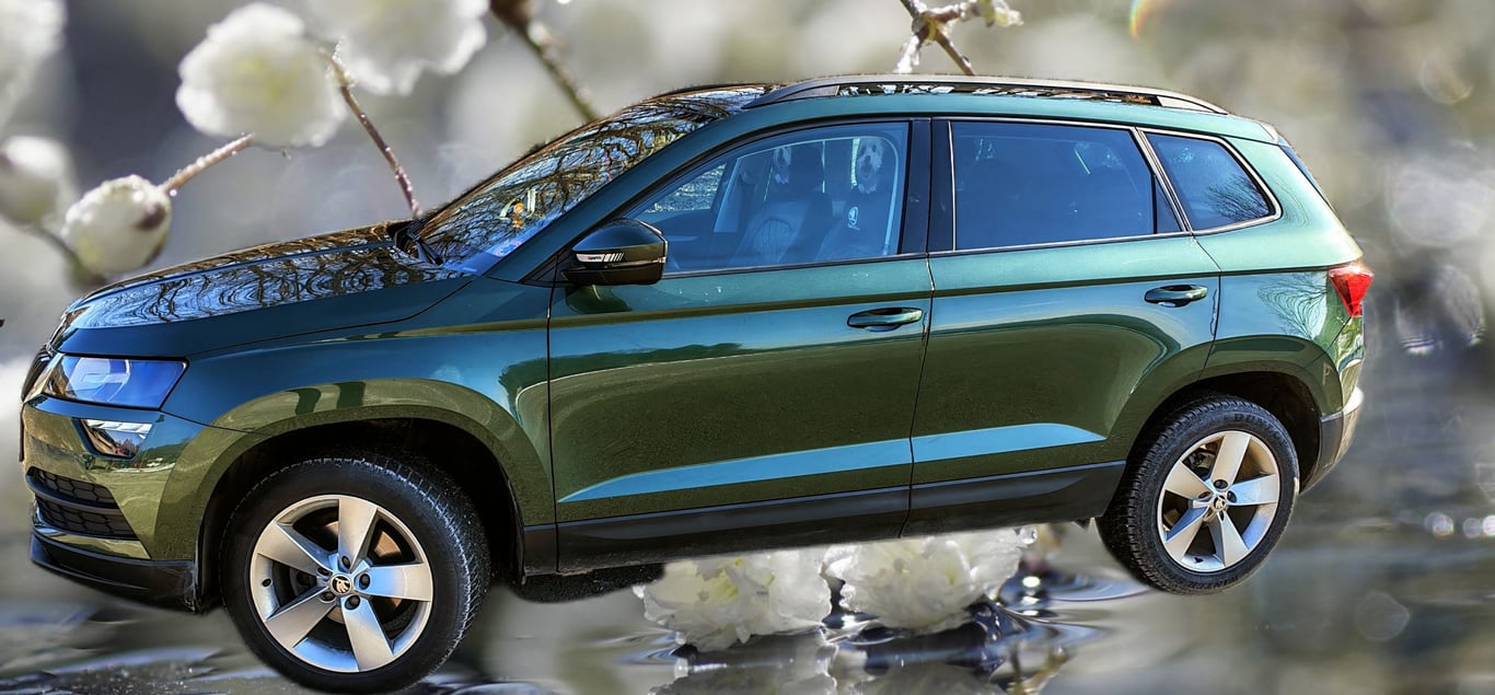 2021 Skoda Karoq