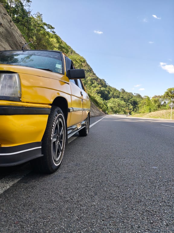 1991 Renault 9