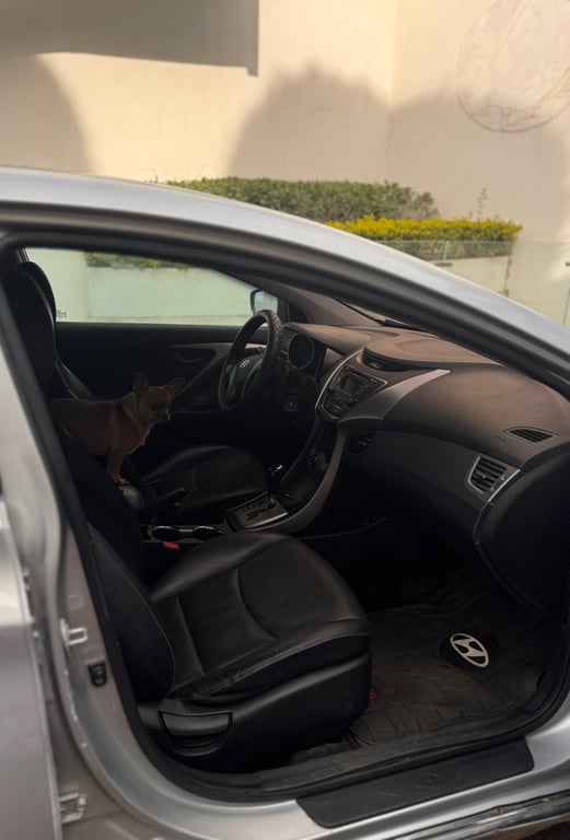 2013 Hyundai Avante