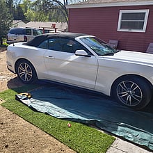 2017 FORD Mustang
