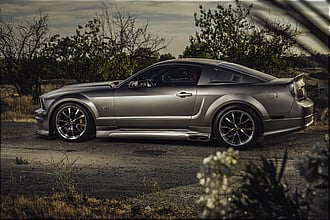 2008 FORD Mustang
