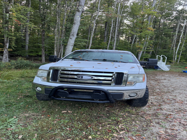 Ford Springvale