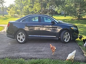 2013 FORD Taurus