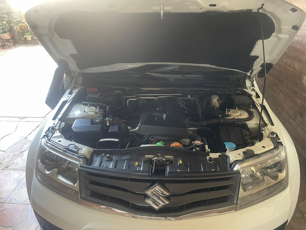 2014 Suzuki Grand Nomade