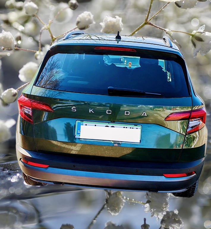 2021 Skoda Karoq