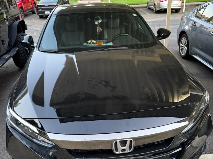 2019 Honda Accord