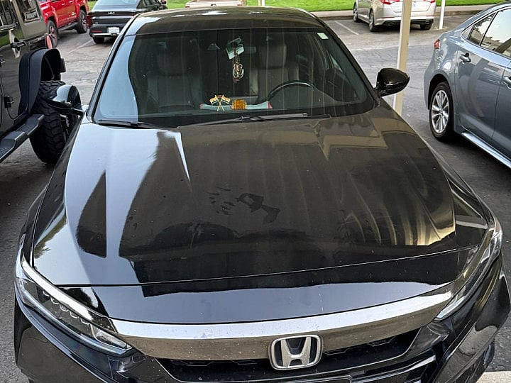 2019 Honda Accord