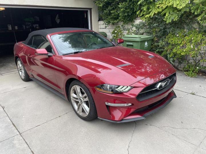 2019 Ford Mustang