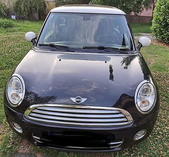 2007 Mini One