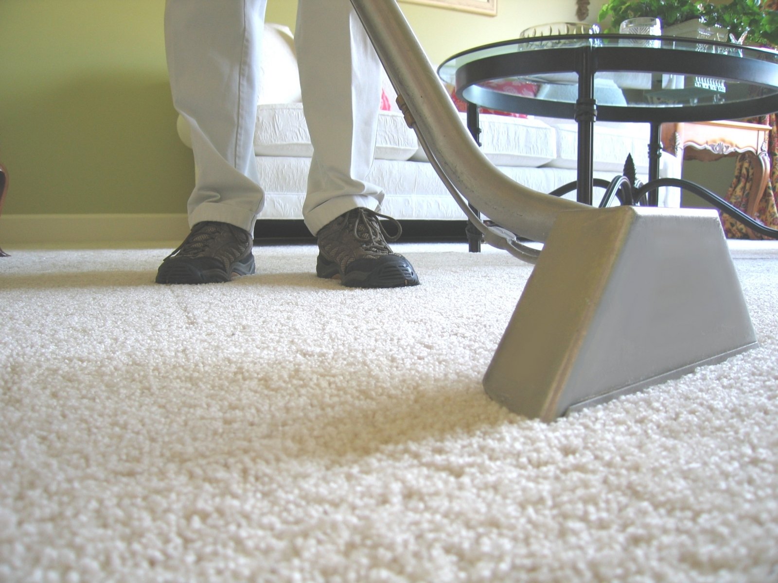 How to Vacuum an Area Rug PlushRugs