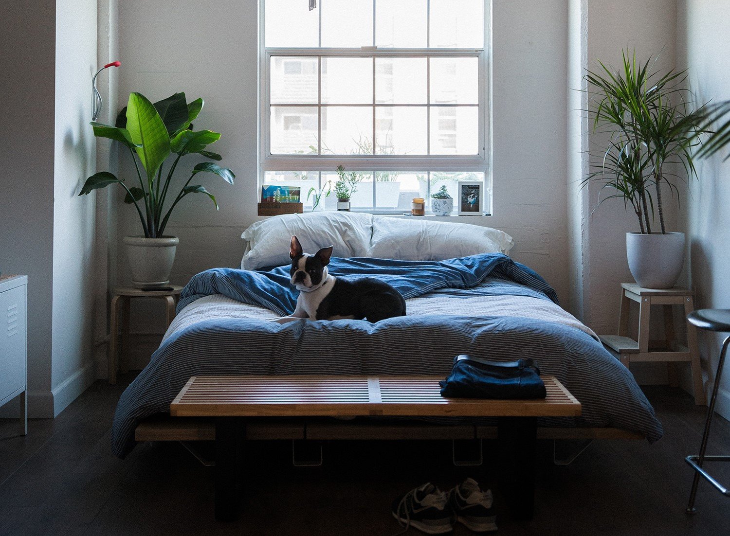 Small area rugs discount