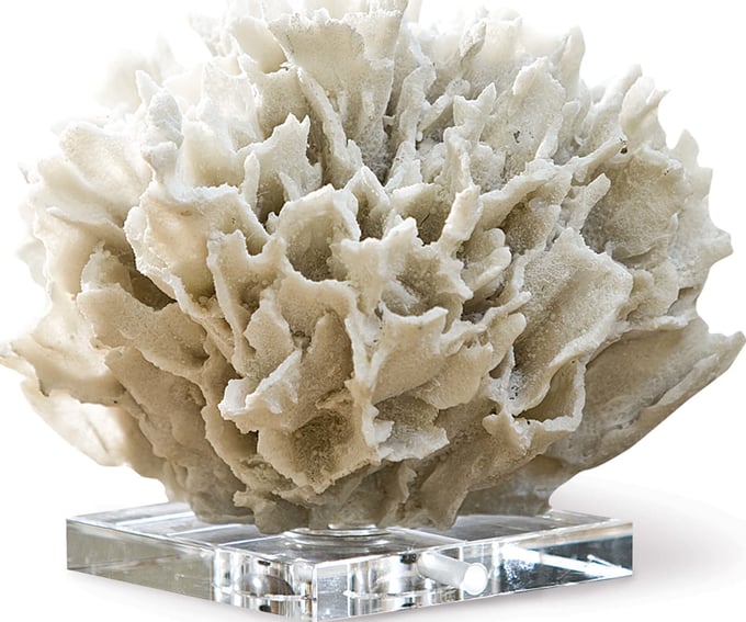 Regina Andrew Ribbon Coral - Thumbnail 5