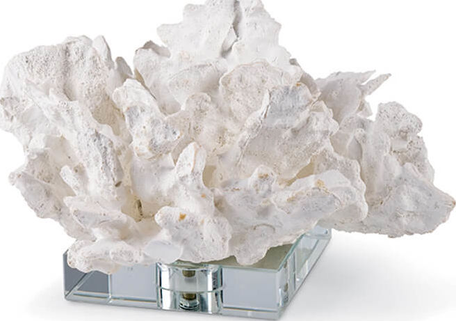 Flower Coral On Crystal Base - Thumbnail 3