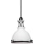 White, Polished Nickel