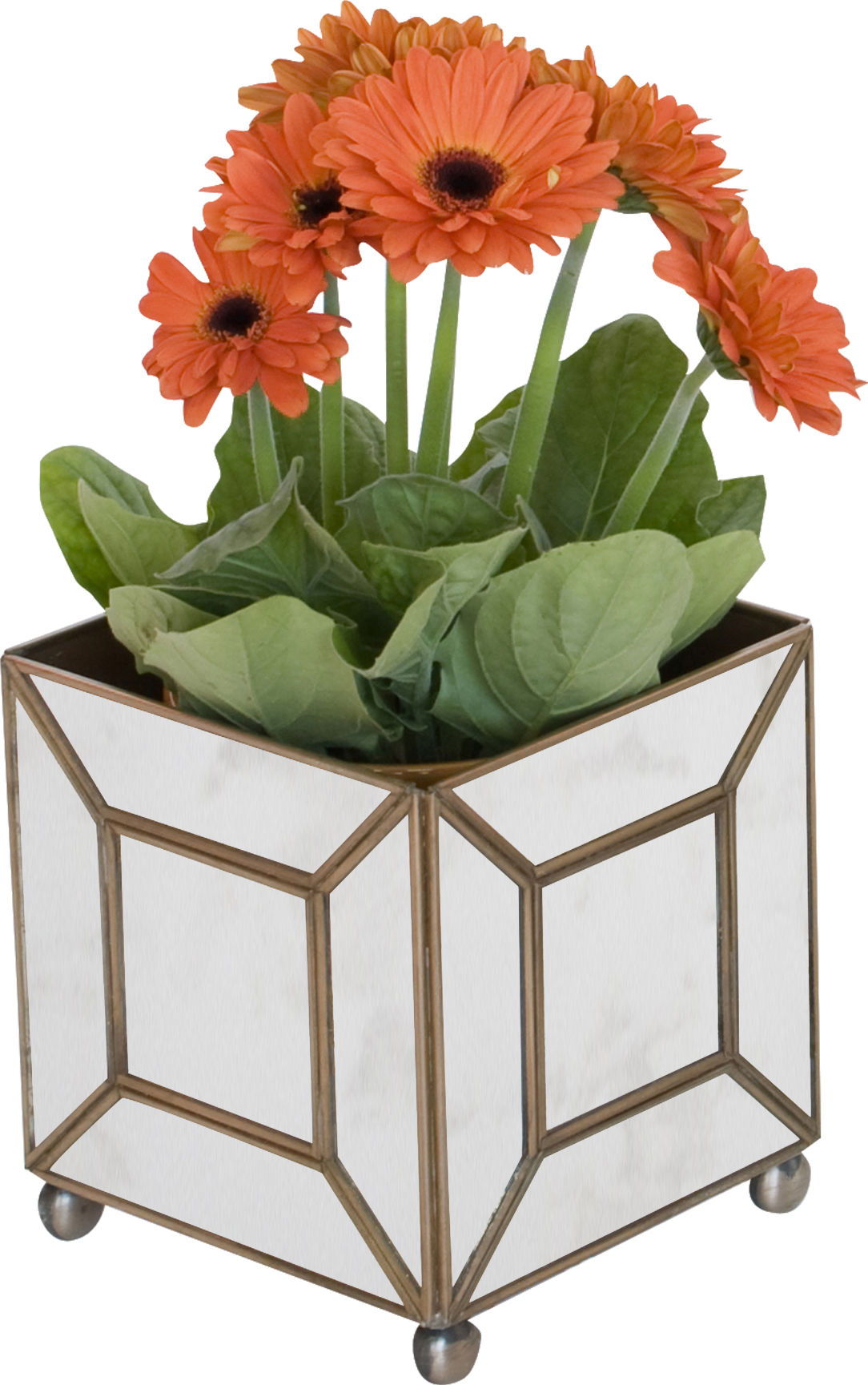 Antique Mirror Classic Planter