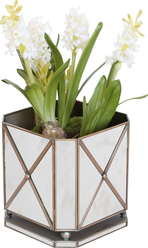 Antique Mirror Regency Planter