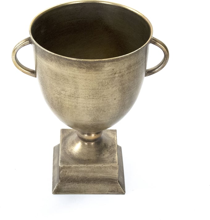 Camille Trophy - Thumbnail 2