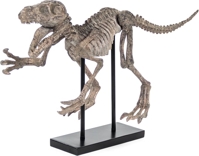 Velociraptor Skeleton - Thumbnail 2