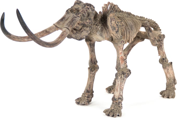 Zentique Mammoth Skeleton