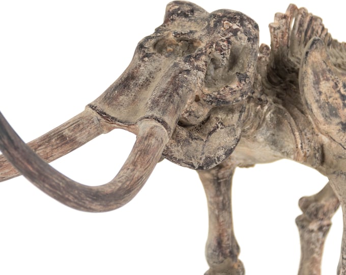 Zentique Mammoth Skeleton - Thumbnail 3